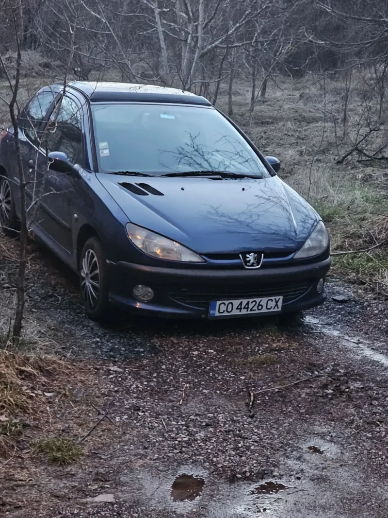 Peugeot 206 1.4, снимка 1 - Автомобили и джипове - 49213276