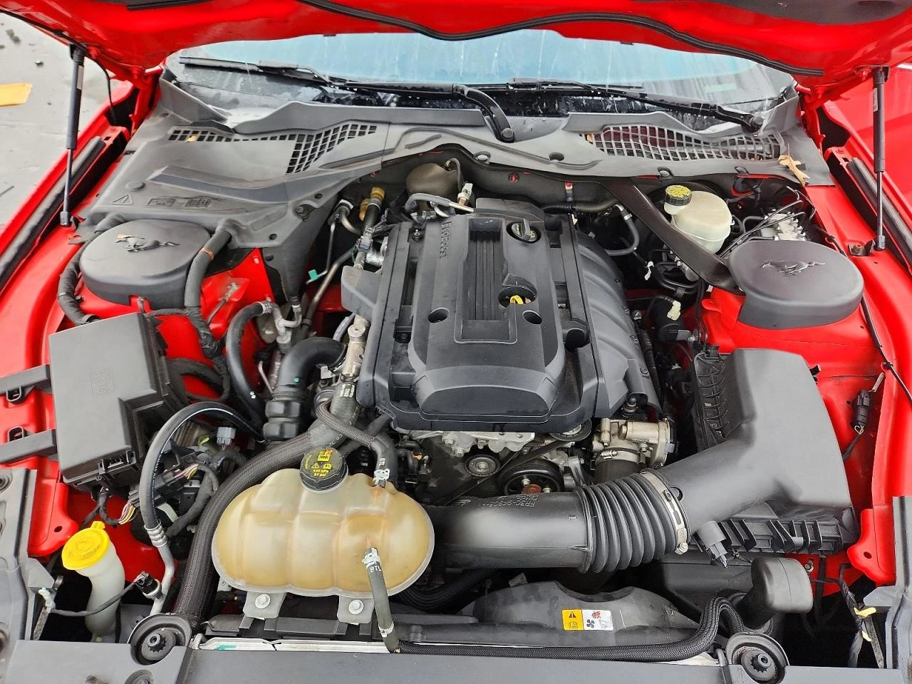 Ford Mustang EcoBoost Premium * Kрайна цена до БГ* , снимка 11 - Автомобили и джипове - 53907350