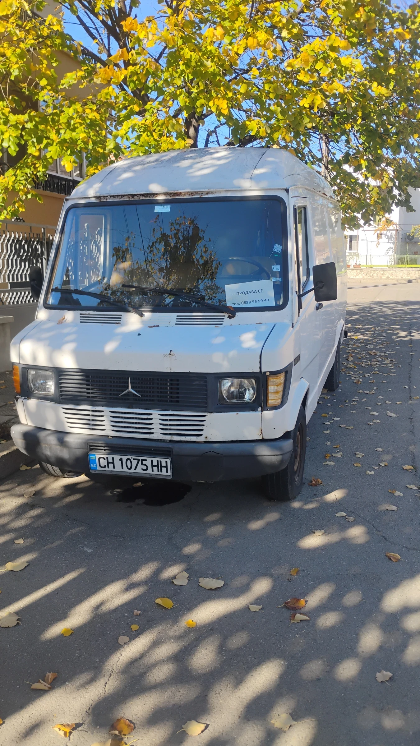 Mercedes-Benz 309