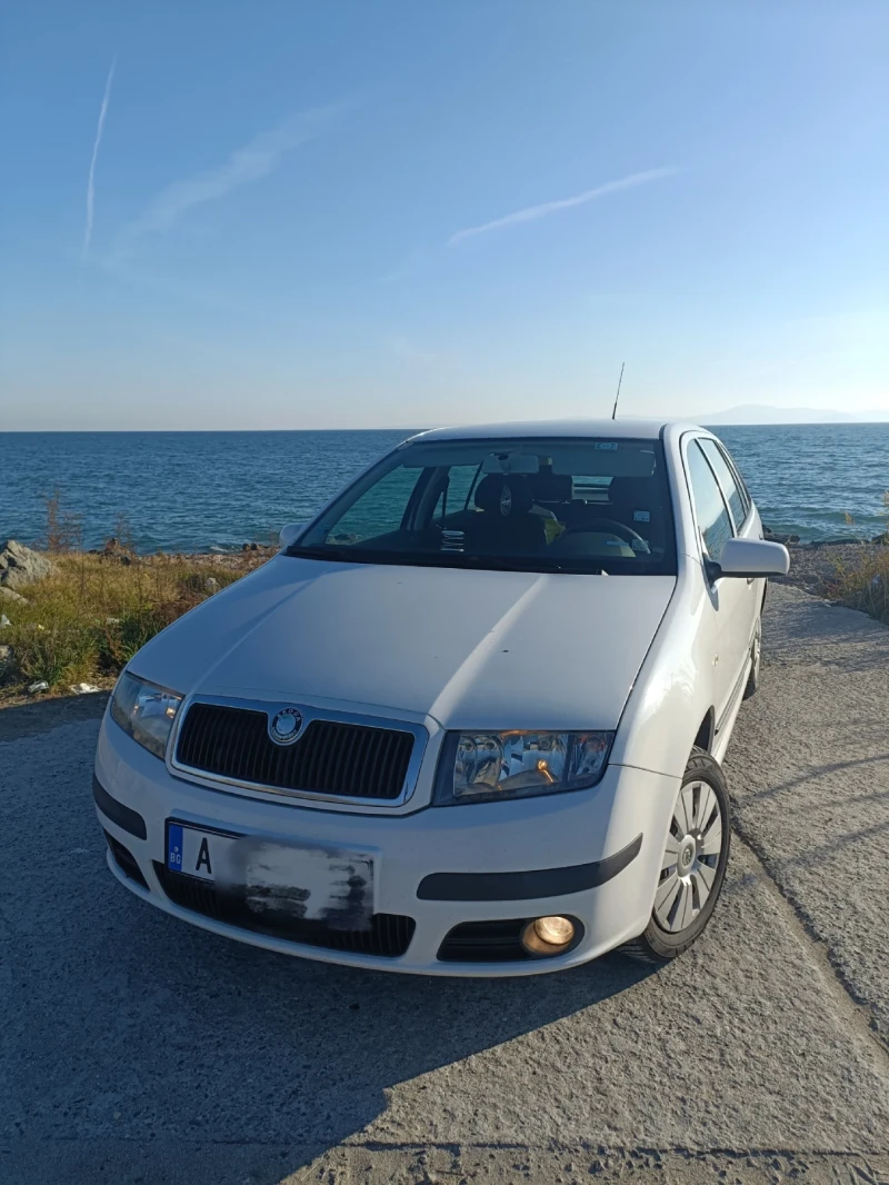 Skoda Fabia 1.9 TDI, снимка 1 - Автомобили и джипове - 48020286