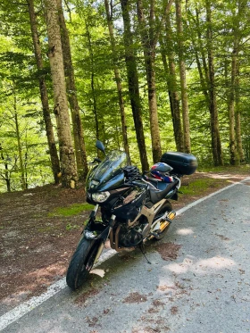 Yamaha Tdm 900, снимка 5