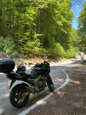 Yamaha Tdm 900 | Auto.bg — изображение 6