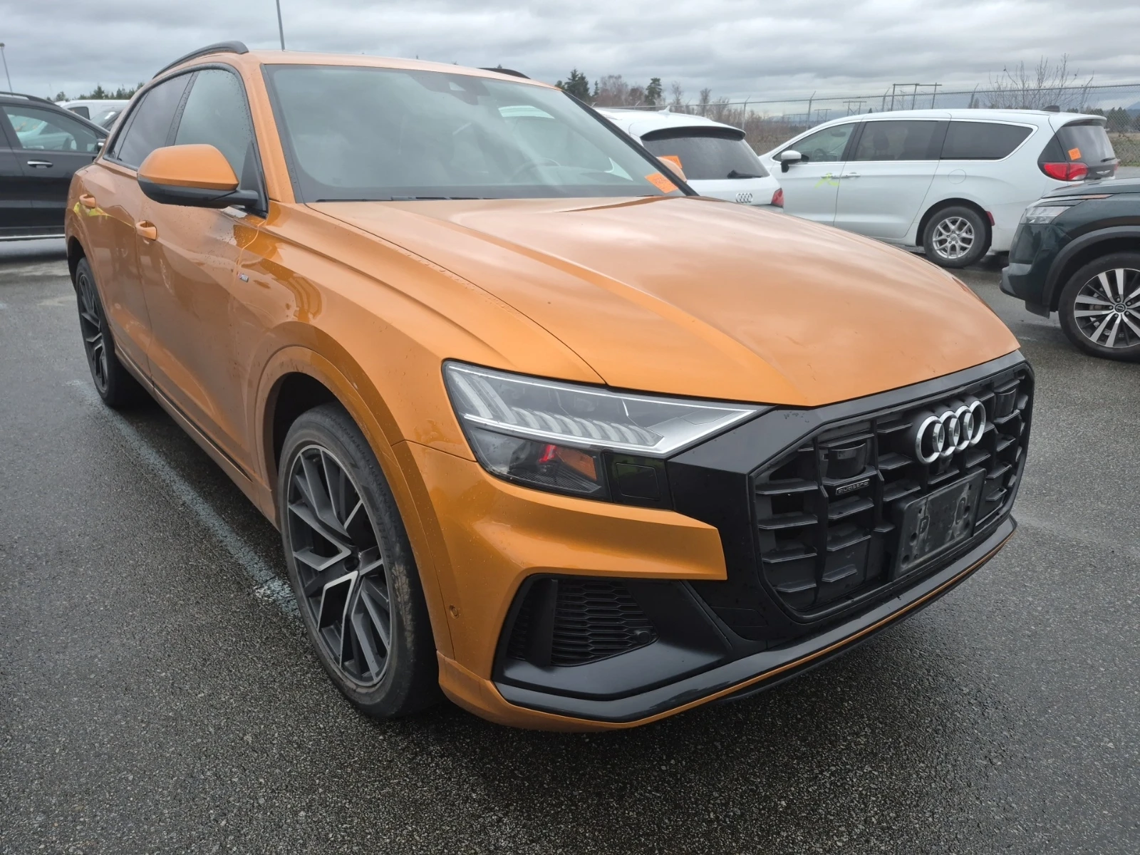 Audi Q8 * CARFAX * БЕЗ ПЪРВОНАЧАЛНА ВНОСКА - изображение 2