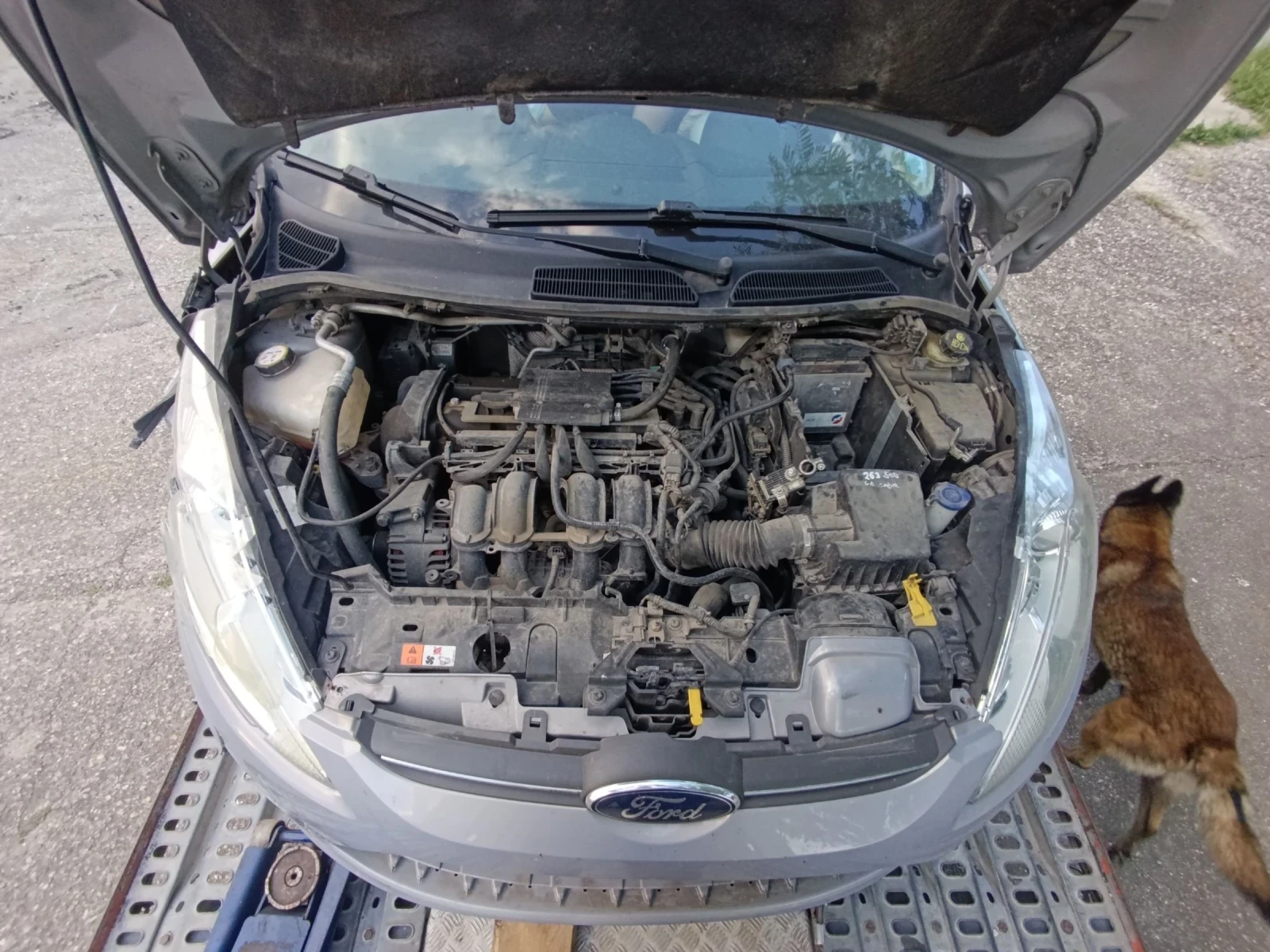 Ford Fiesta Заводска газ - изображение 7