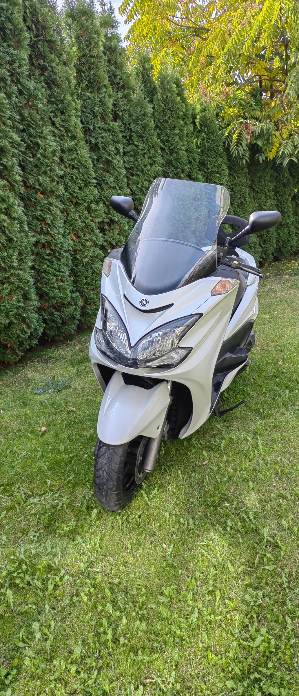 Yamaha Majesty YP400 | Mobile.bg � ����������� 1