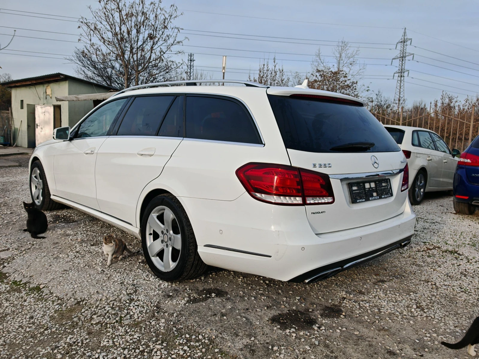 Mercedes-Benz E 250 W212, BLUETEC, 4-MATIC, -6 | Mobile.bg   7
