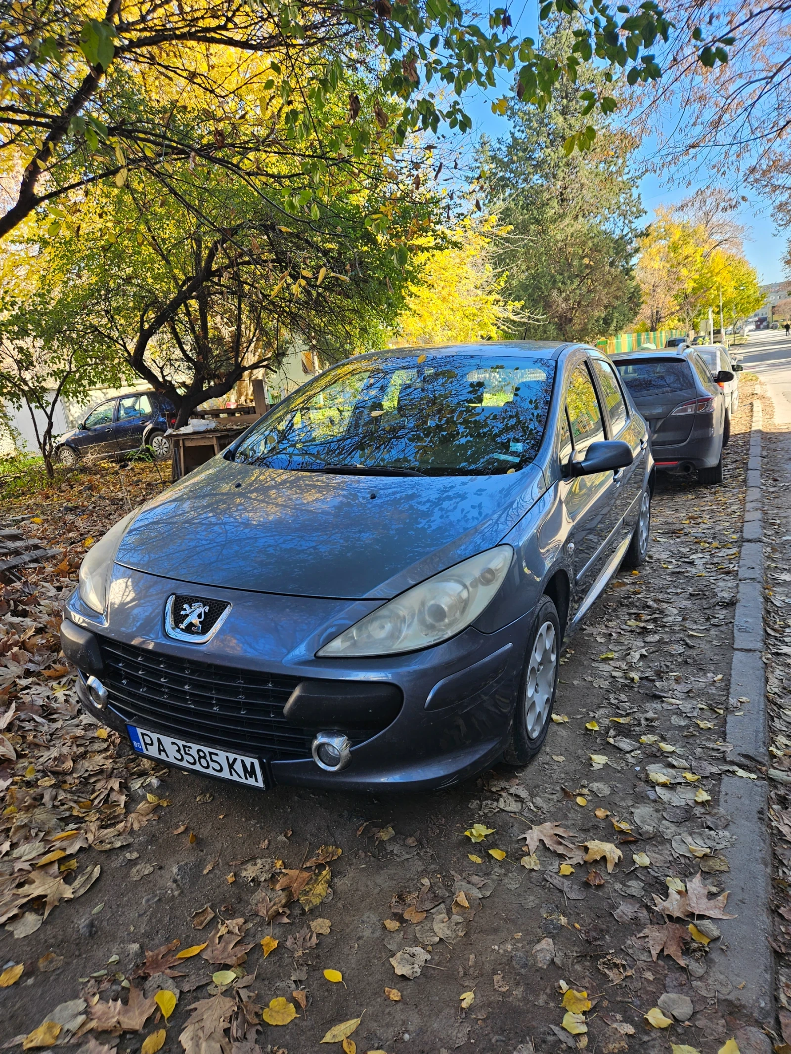 Peugeot 307