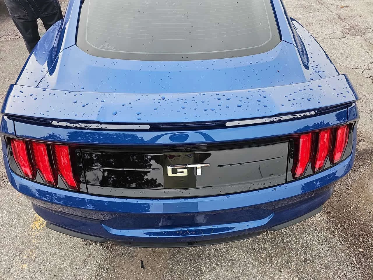 Ford Mustang * GT * CARFAX * ����� �� �����������  | Mobile.bg � ����������� 13