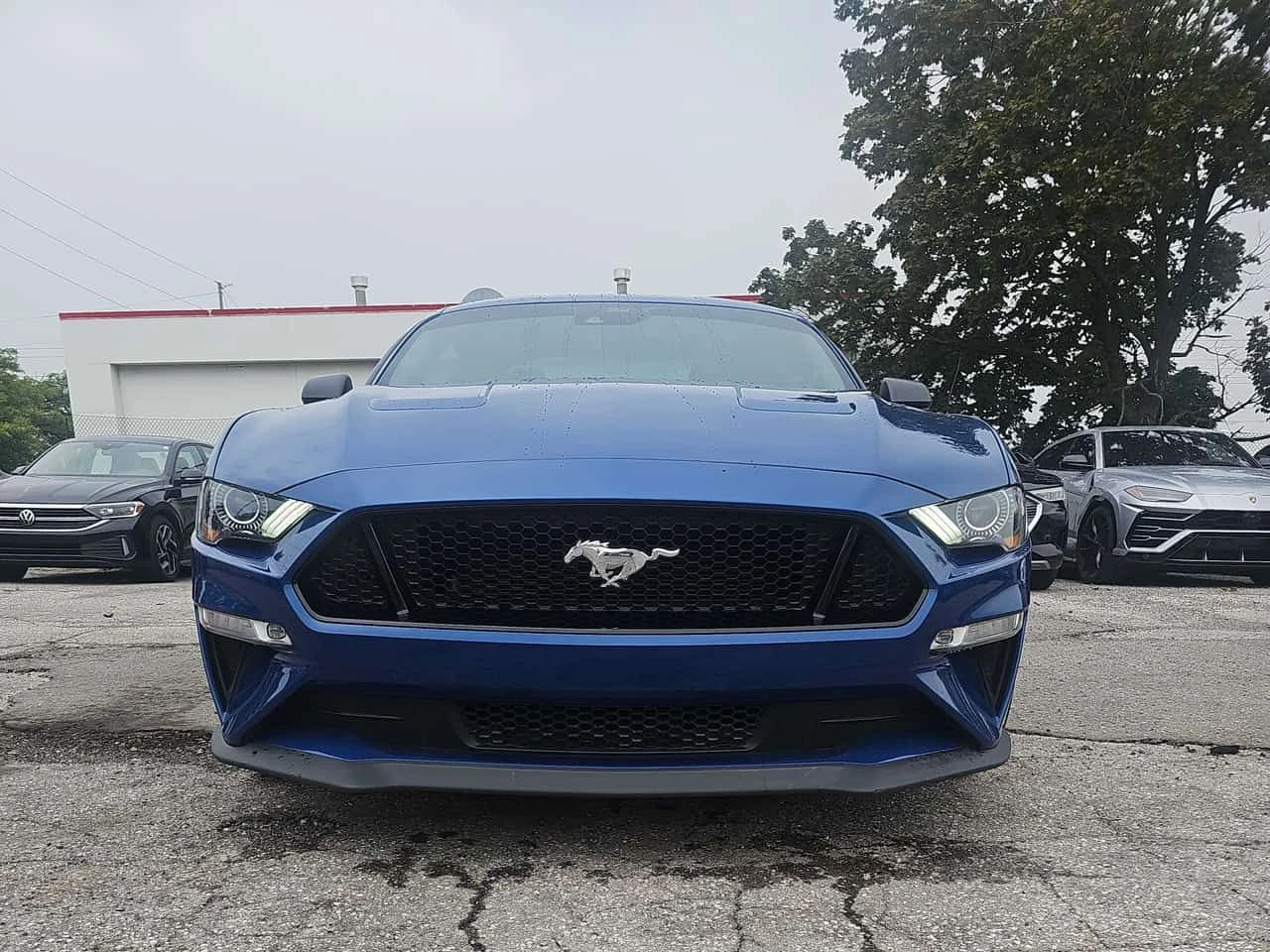 Ford Mustang * GT * CARFAX * ����� �� �����������  | Mobile.bg � ����������� 6