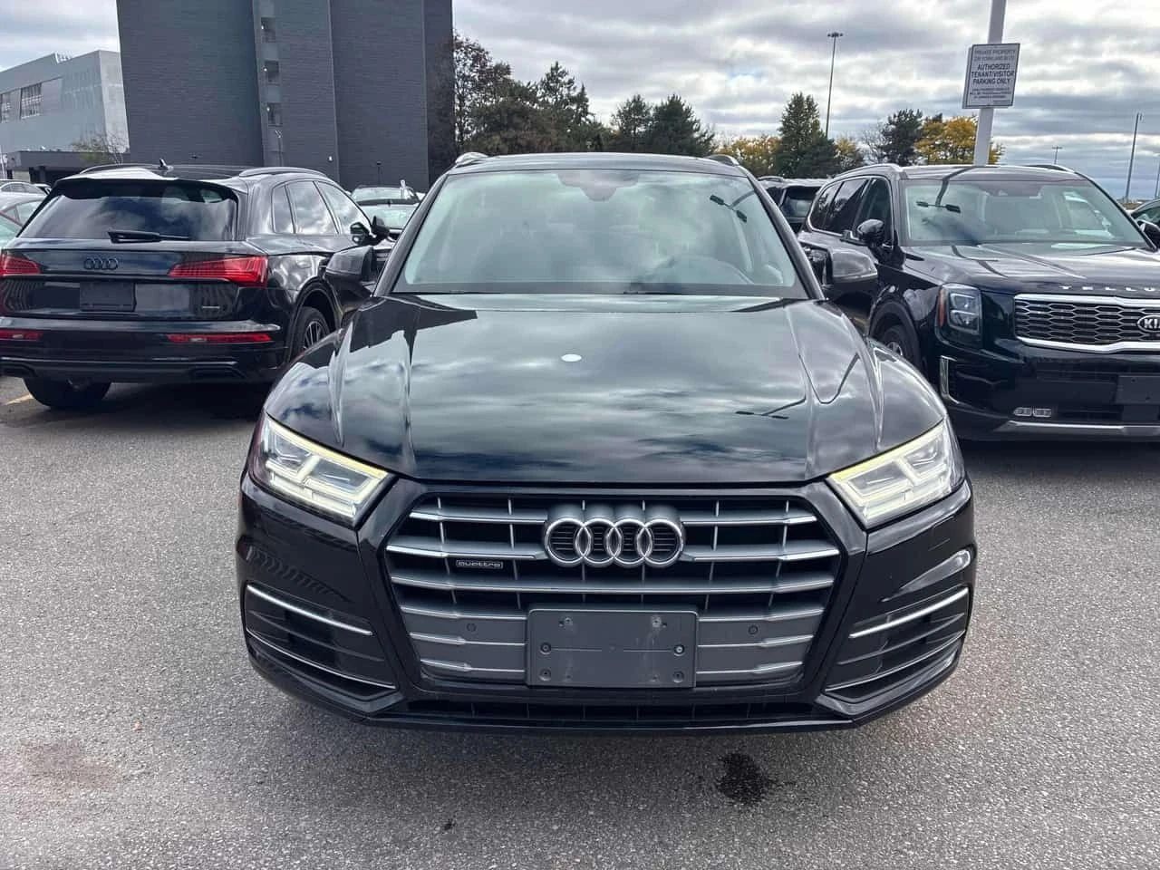 Audi Q5, снимка 6 - Автомобили и джипове - 56716885