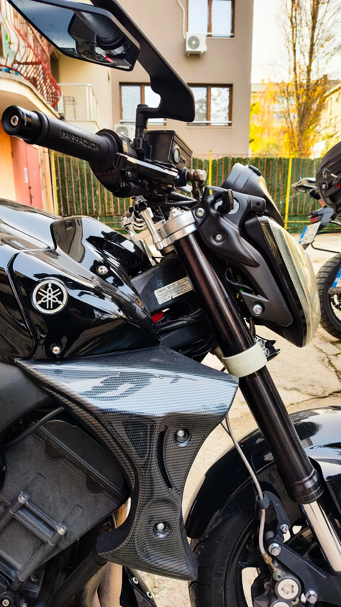 Yamaha FZ1 Naked - изображение 3