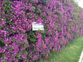 Сервизни услуги, снимка 3