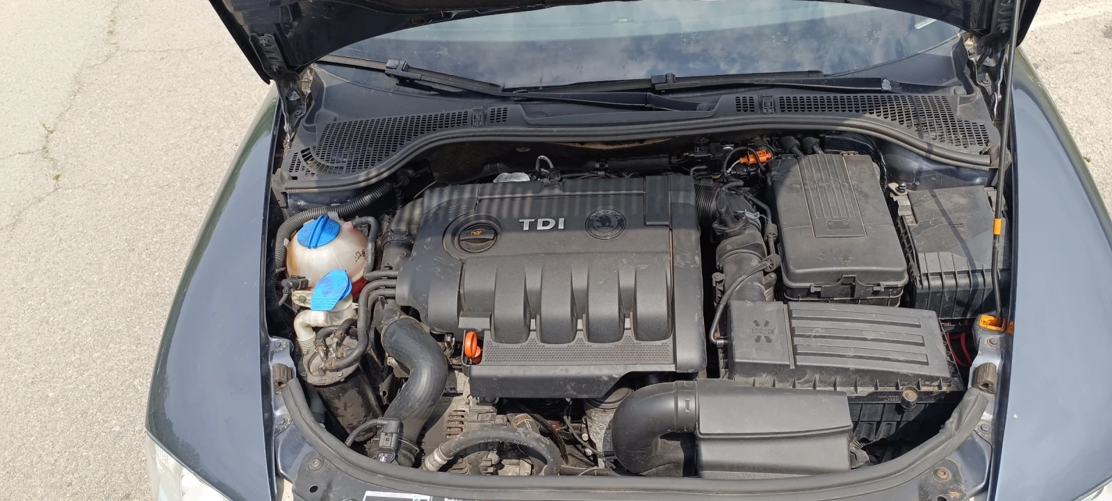 Skoda Octavia, снимка 15 - Автомобили и джипове - 54356524