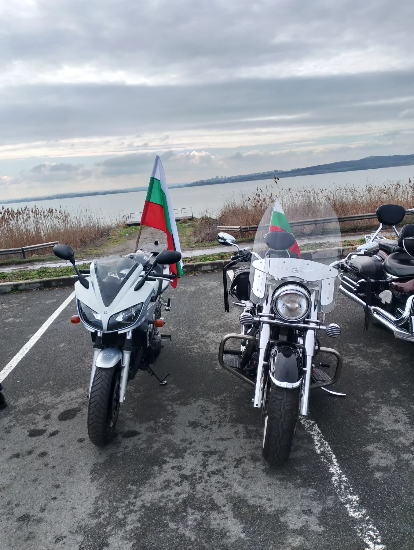 Yamaha Fazer FZS 600 - изображение 3