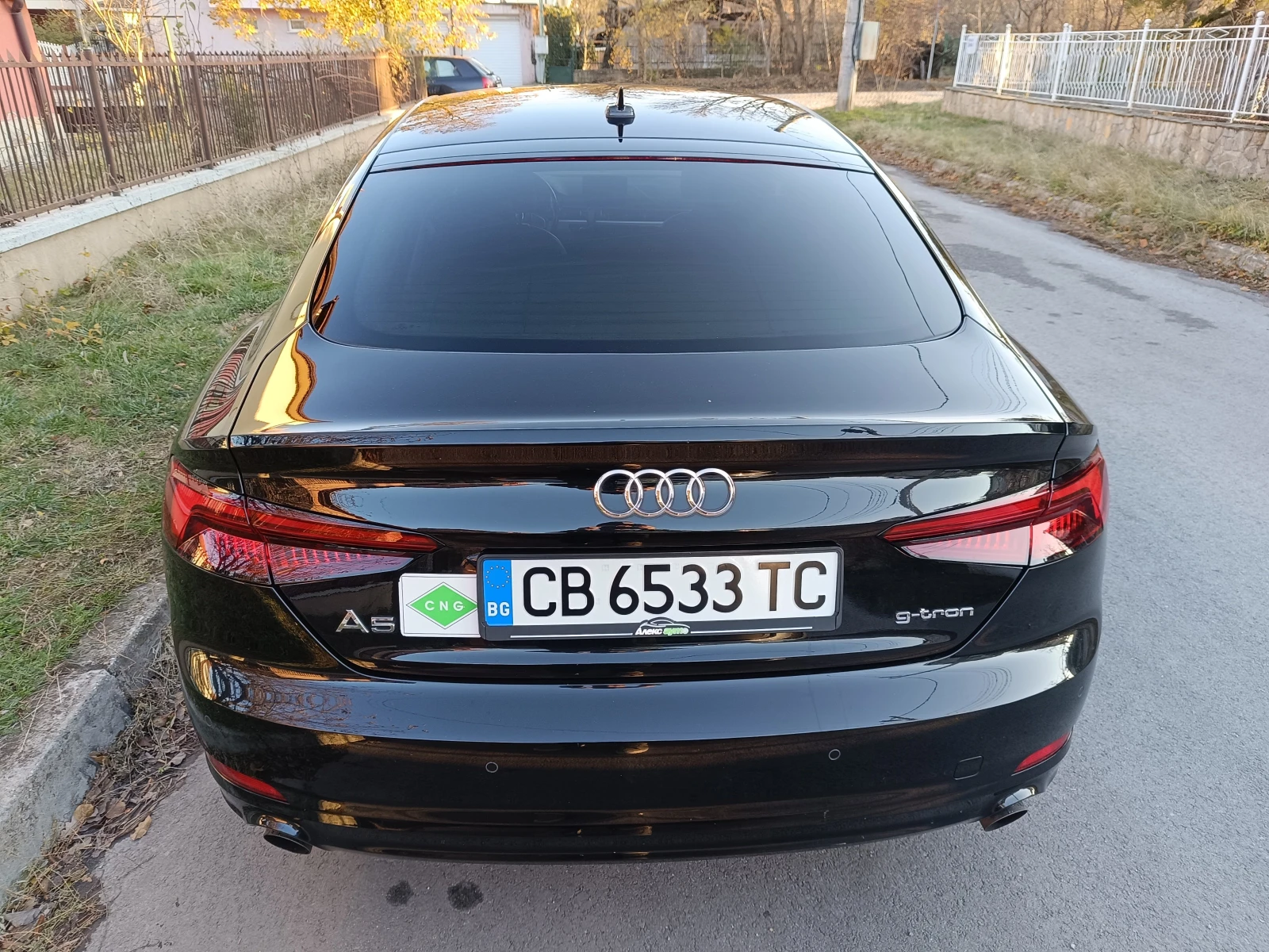 Audi A5 2.0TFSI G-Tron - изображение 6