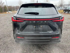 Lexus NX * 350h * 2 КЛЮЧА* ПОДГРЕВ* КЕЙЛЕС* , снимка 4