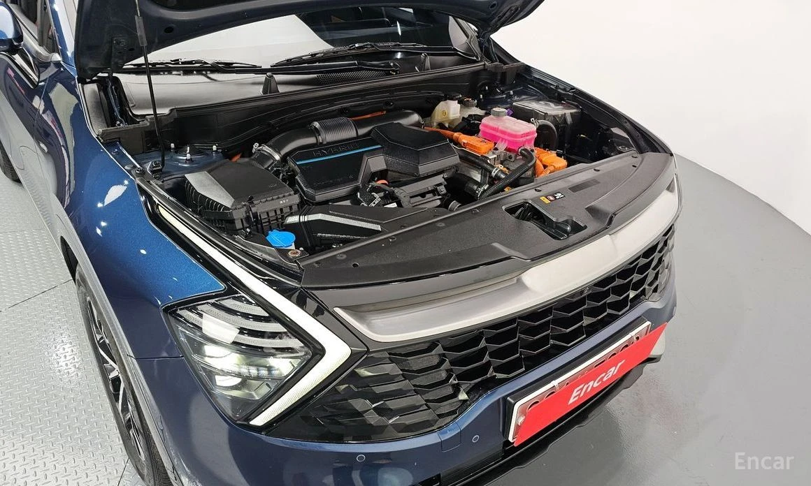 Kia Sportage  - изображение 6