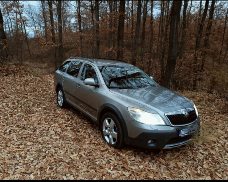 Skoda Octavia 4x4 , Scout , снимка 4 - Автомобили и джипове - 48973823