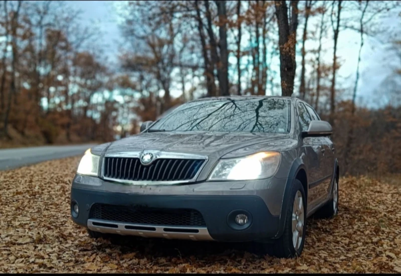 Skoda Octavia 4x4 , Scout , снимка 5 - Автомобили и джипове - 48973823