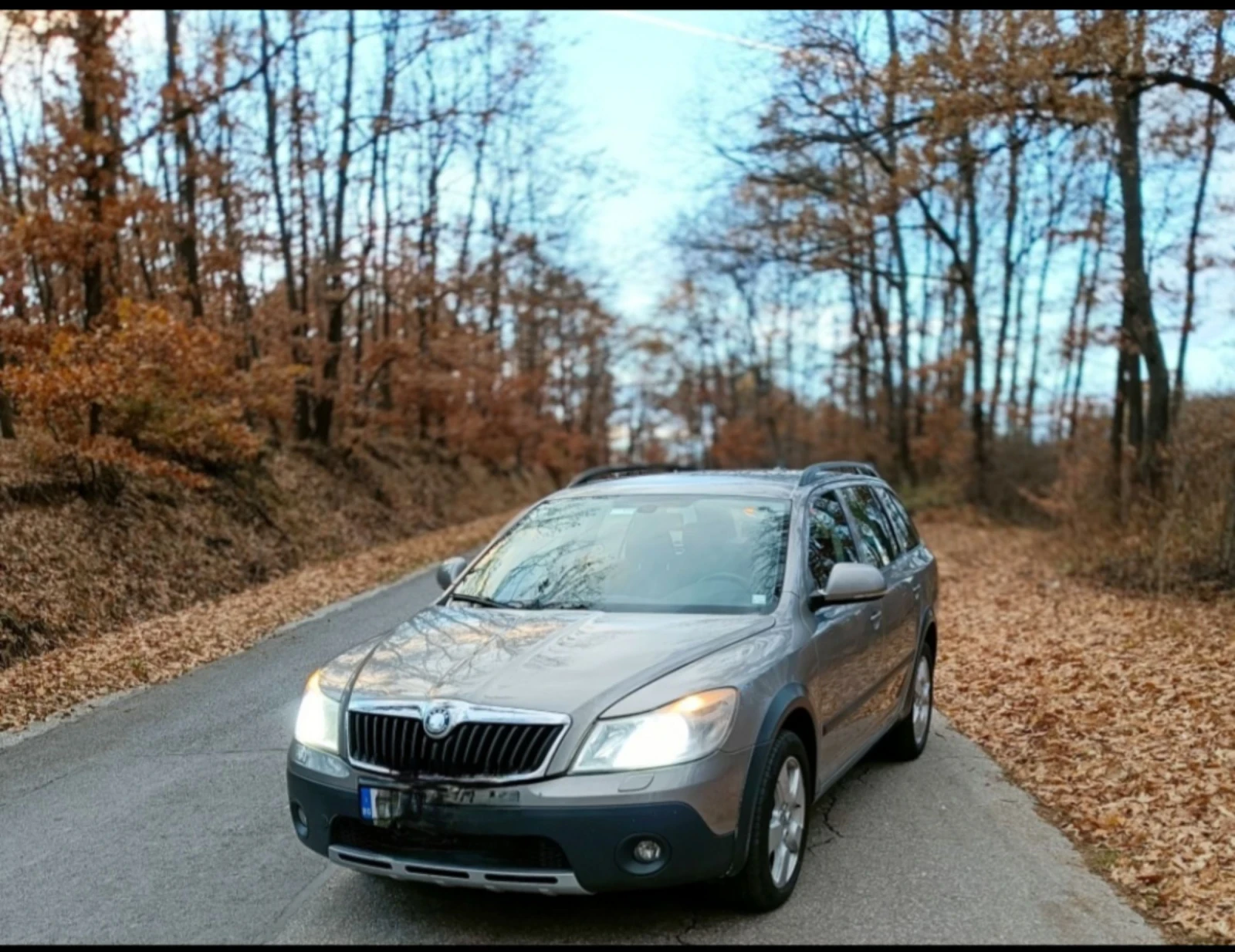 Skoda Octavia 4x4 , Scout  | Mobile.bg � ����������� 1
