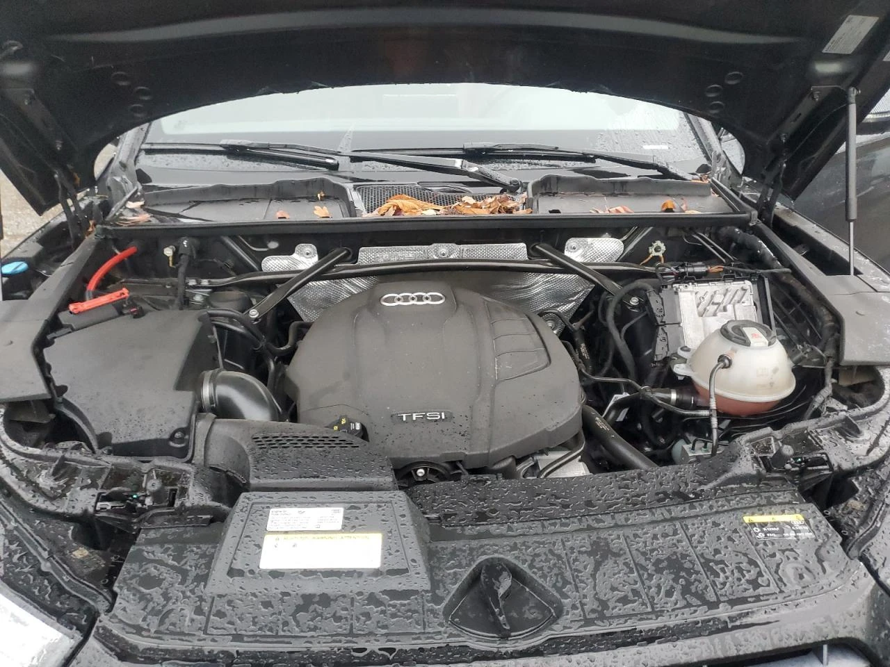 Audi Q5 PREMIUM PLUS | Mobile.bg   12