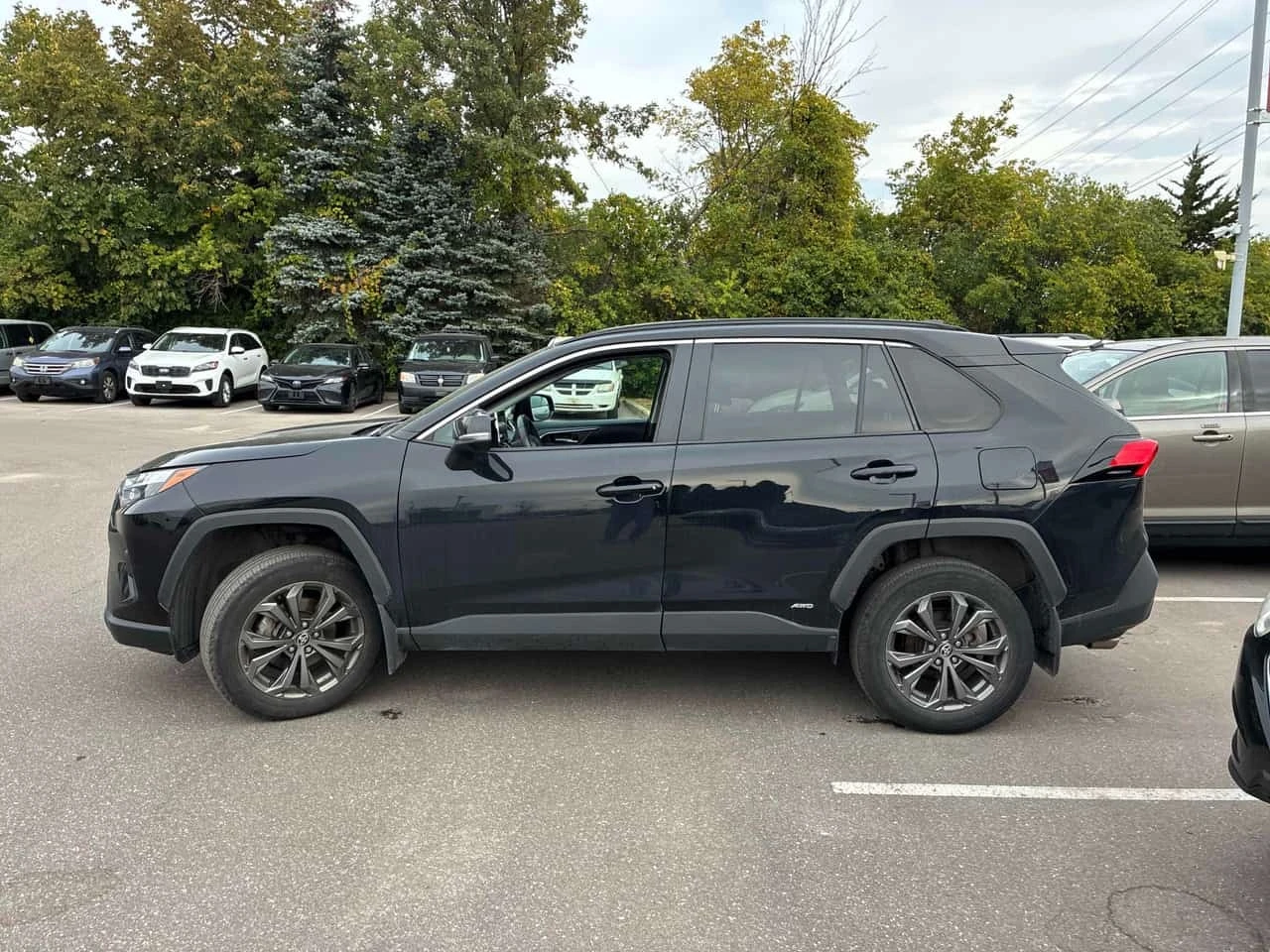 Toyota Rav4 * Hybrid XLE * CARFAX *  | Mobile.bg � ����������� 2