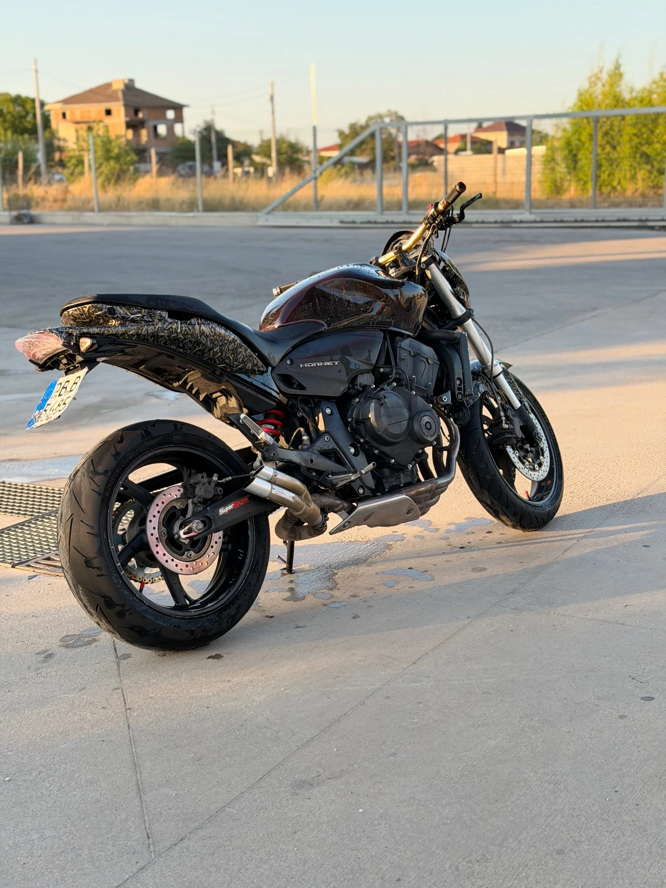 Honda Hornet