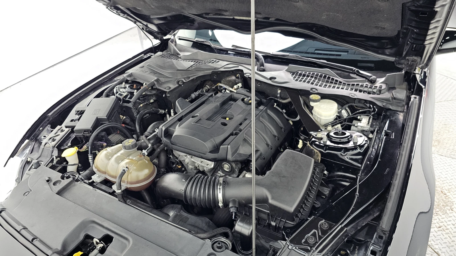 Ford Mustang Coupe 2.3 Ecoboost autogeorge.com, снимка 9 - Автомобили и джипове - 56182345