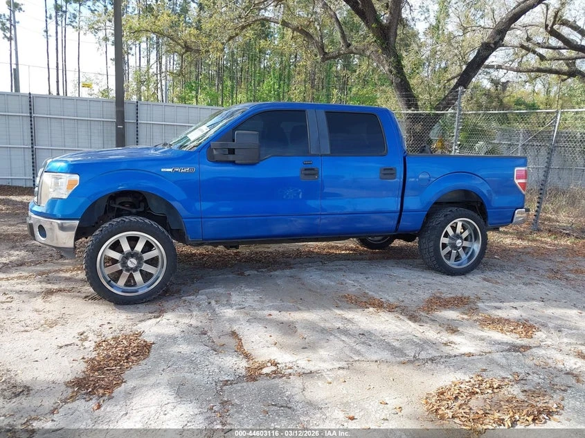 Ford F150 3.7L V-6 DOHC, VVT, 302HP 4X2 Drive, снимка 14 - Автомобили и джипове - 53830340