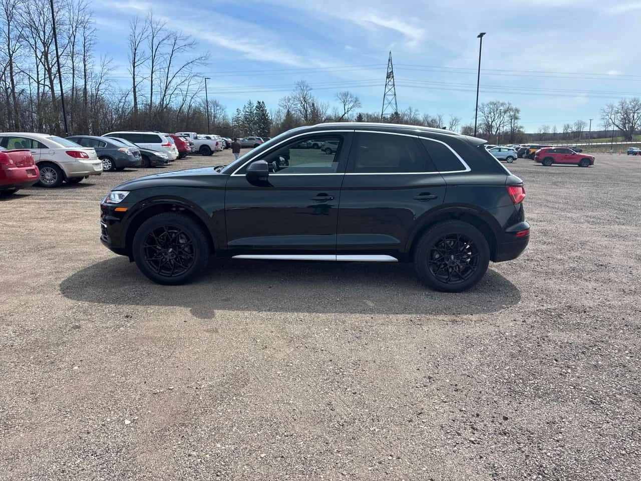 Audi Q5 | Technik | DISTRONIC | 360 | B&O | ПАНОРАМА | , снимка 2 - Автомобили и джипове - 54336336