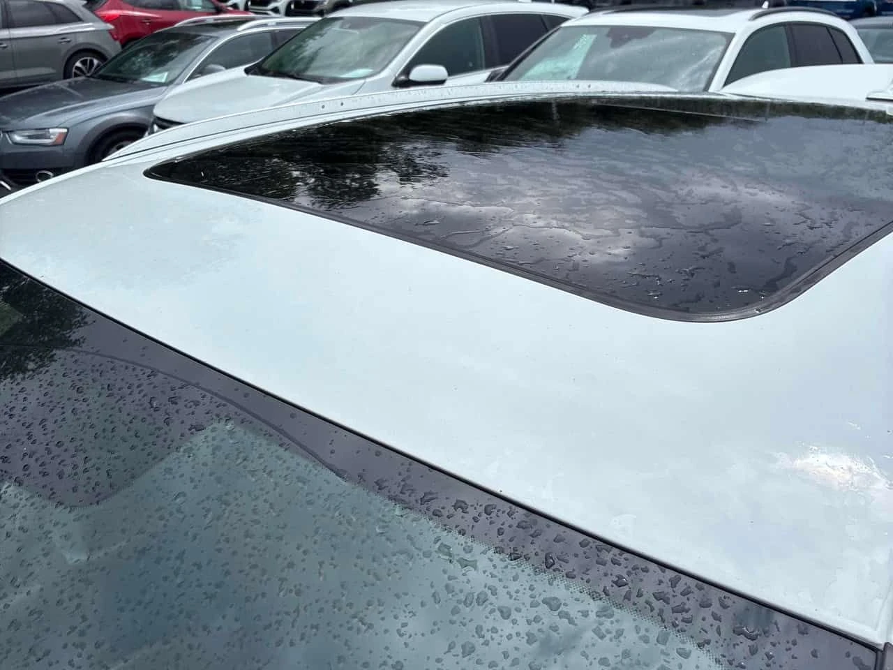 Audi Q5 * Progressiv * CARFAX * ОПЦИЯ ЗА ФИНАНСИРАНЕ, снимка 14 - Автомобили и джипове - 55316649