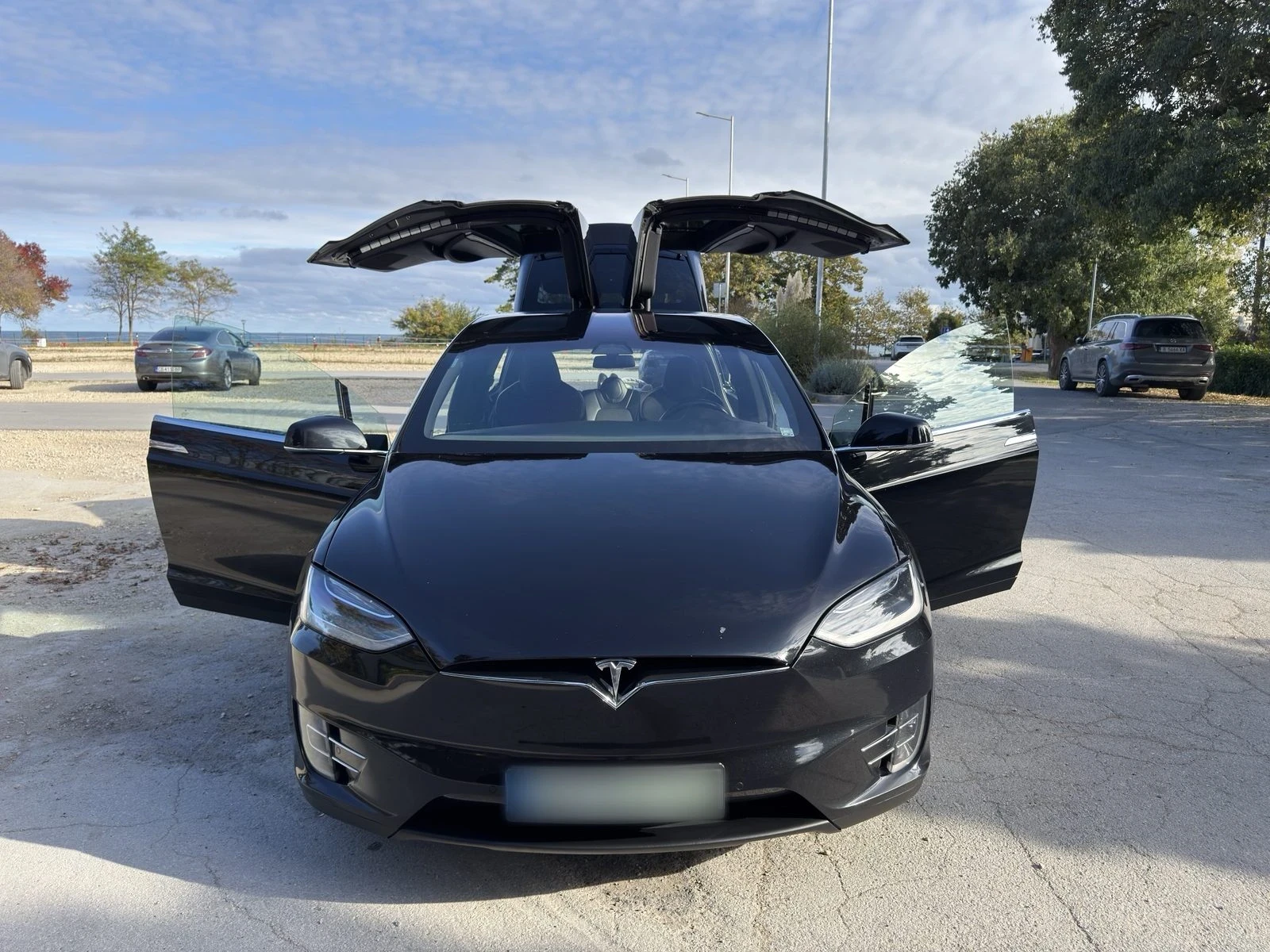 Tesla Model X 100D, снимка 3 - Автомобили и джипове - 56645558
