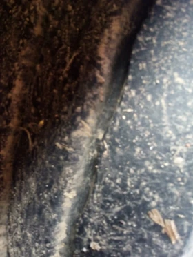 Полуремарке Krone SDP27, снимка 13 - Ремаркета - 53444403