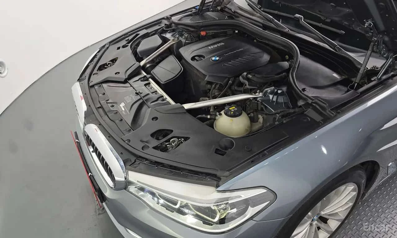BMW 520 * Luxury Special Edition * ОПЦИЯ ЗА ФИНАНСИРАНЕ, снимка 6 - Автомобили и джипове - 55571688