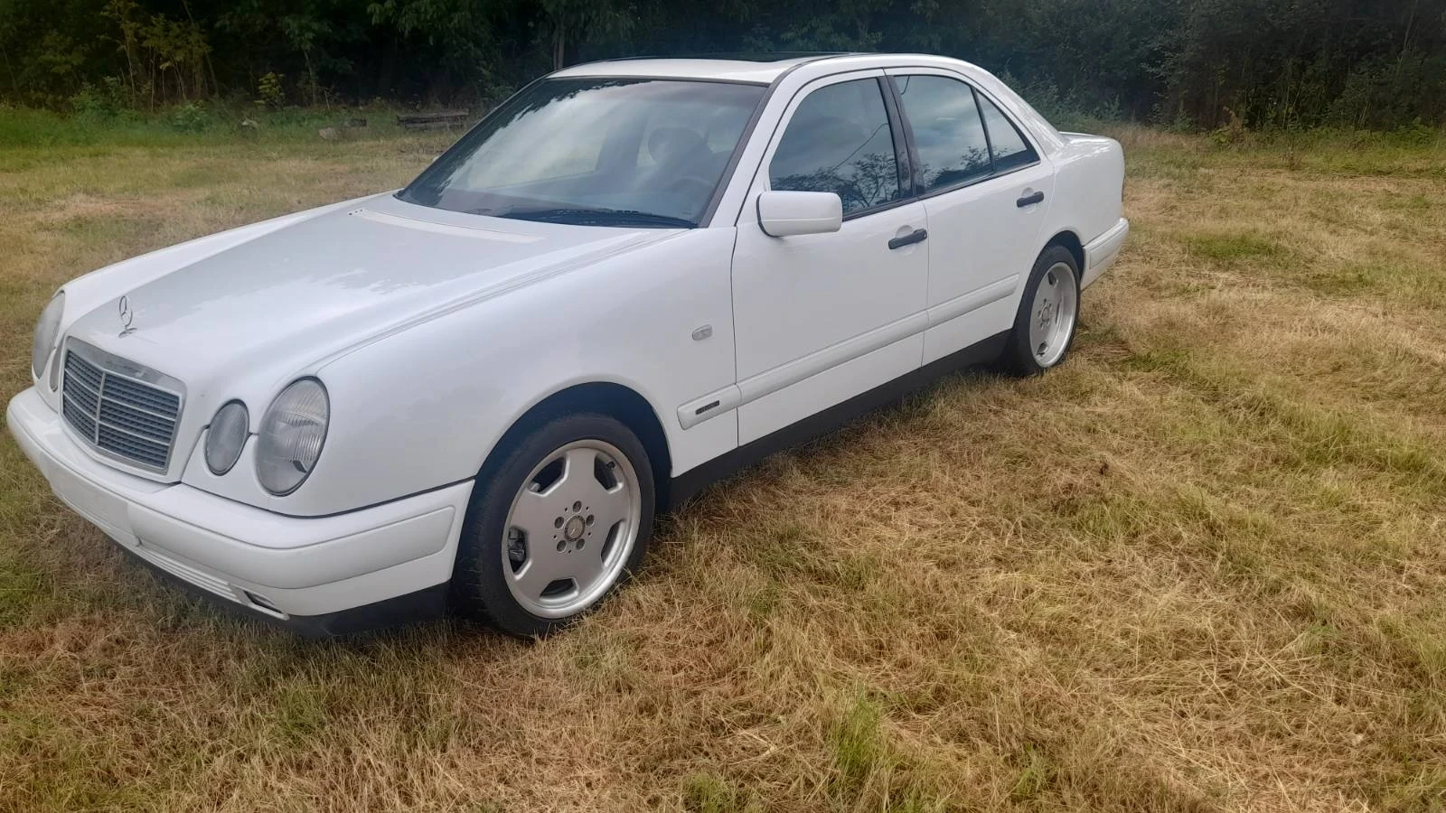 Mercedes-Benz E 290 | Mobile.bg � ����������� 6