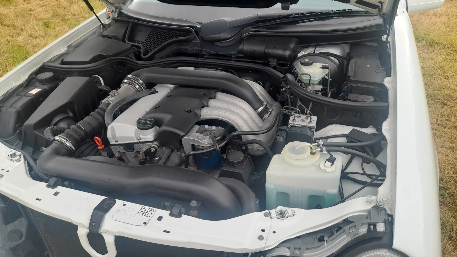 Mercedes-Benz E 290 | Mobile.bg � ����������� 5