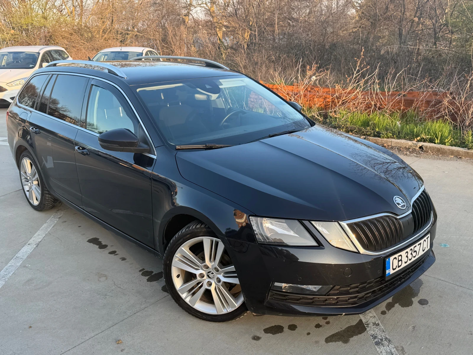 Skoda Octavia DSG / круиз / следене на ленти / Лед километраж