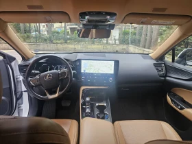 Lexus NX 450 H / LUXURY, снимка 12