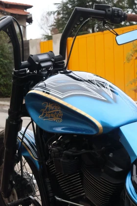 Harley-Davidson Softail FXBBS Street Bob Custom | Mobile.bg    10