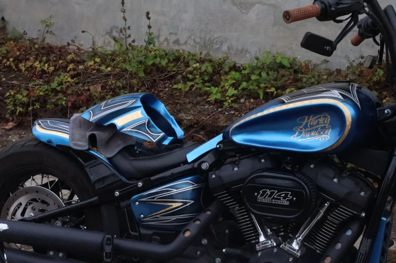 Harley-Davidson Softail FXBBS Street Bob Custom, снимка 4 - Мотоциклети и мототехника - 52486604