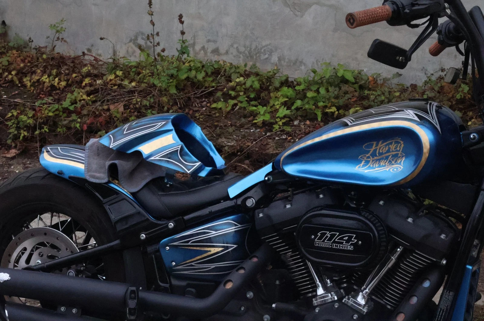 Harley-Davidson Softail FXBBS Street Bob Custom | Mobile.bg   4