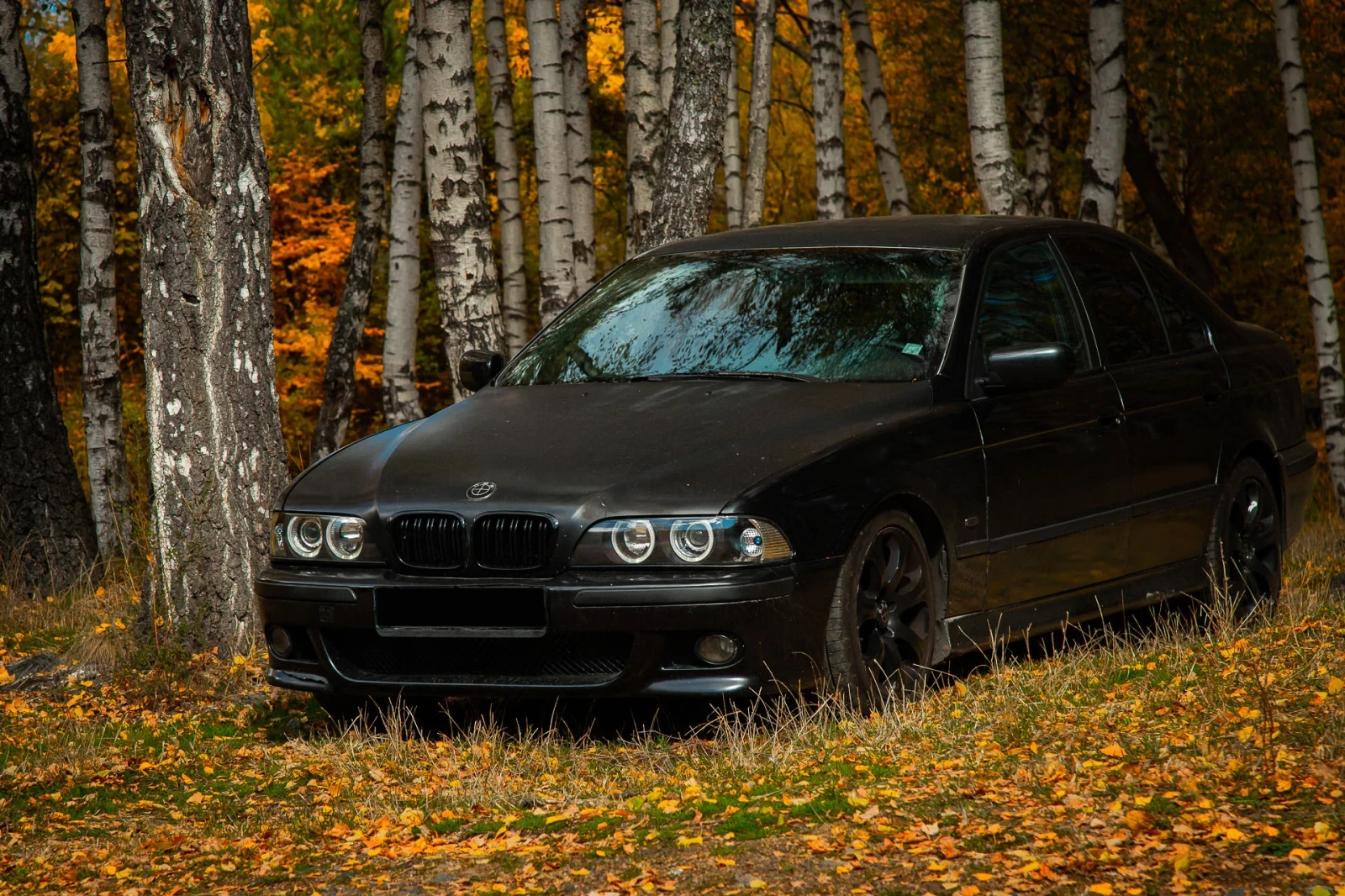 BMW 528 | Mobile.bg � ����������� 3