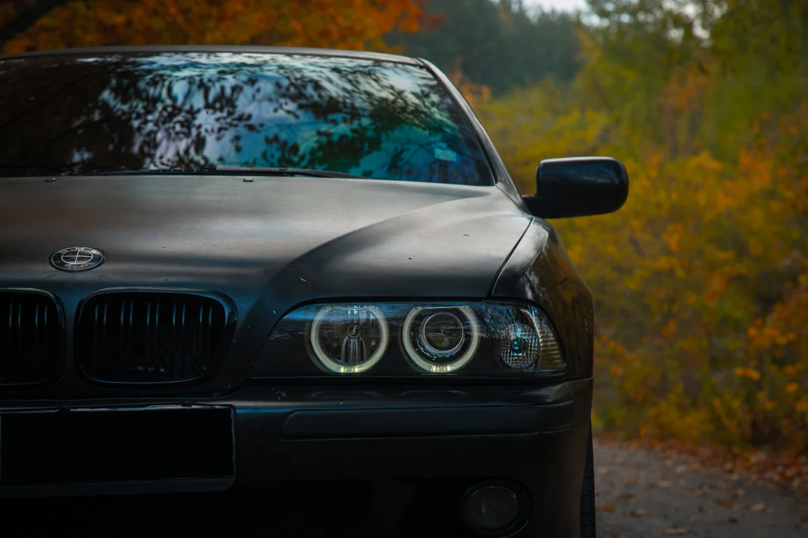 BMW 528 | Mobile.bg � ����������� 4