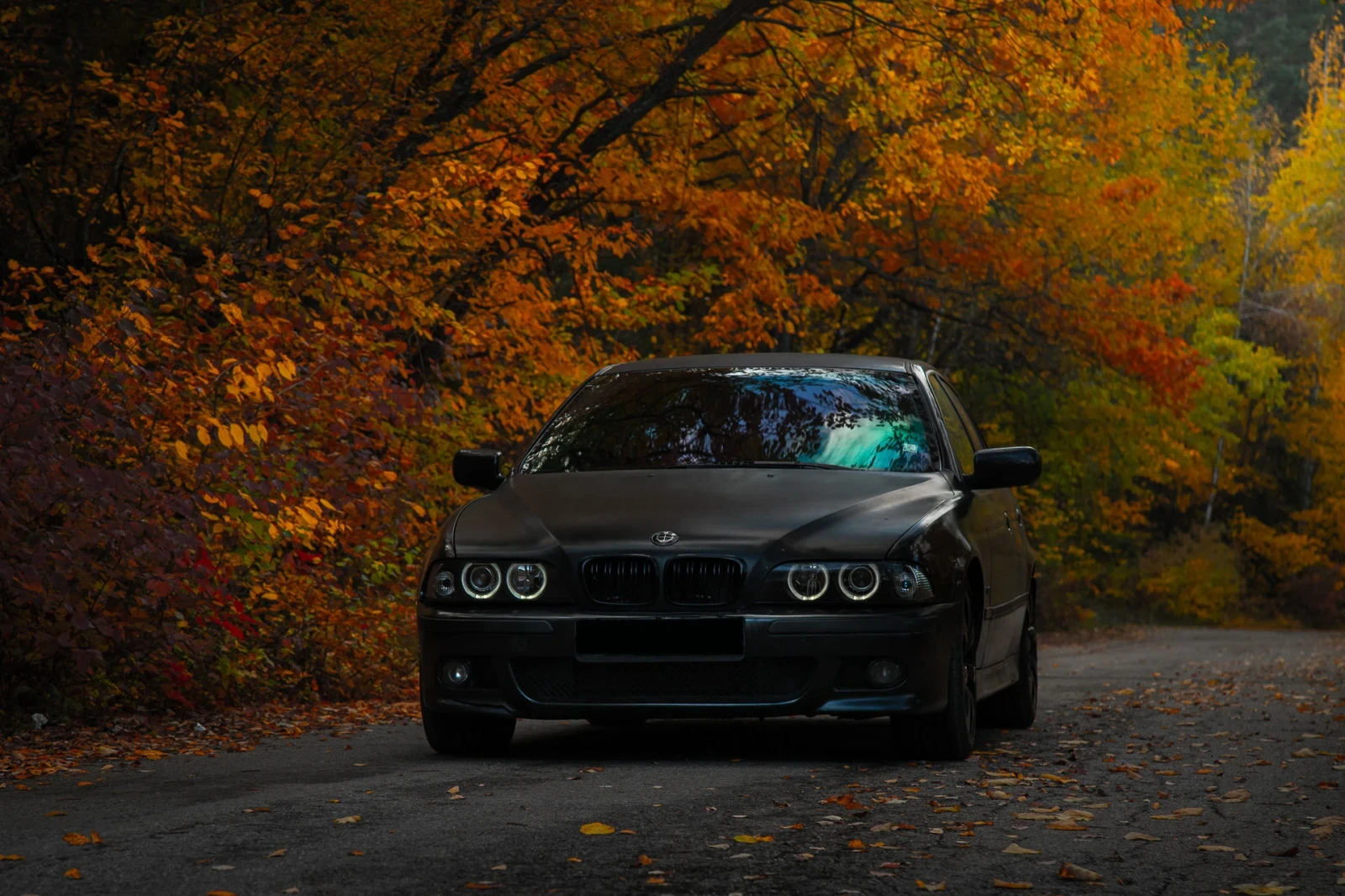 BMW 528 | Mobile.bg � ����������� 2