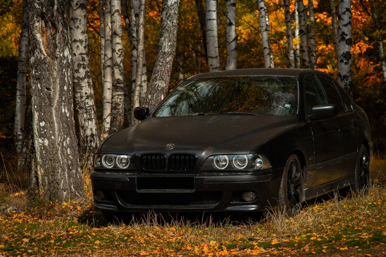 BMW 528 | Mobile.bg � ����������� 8