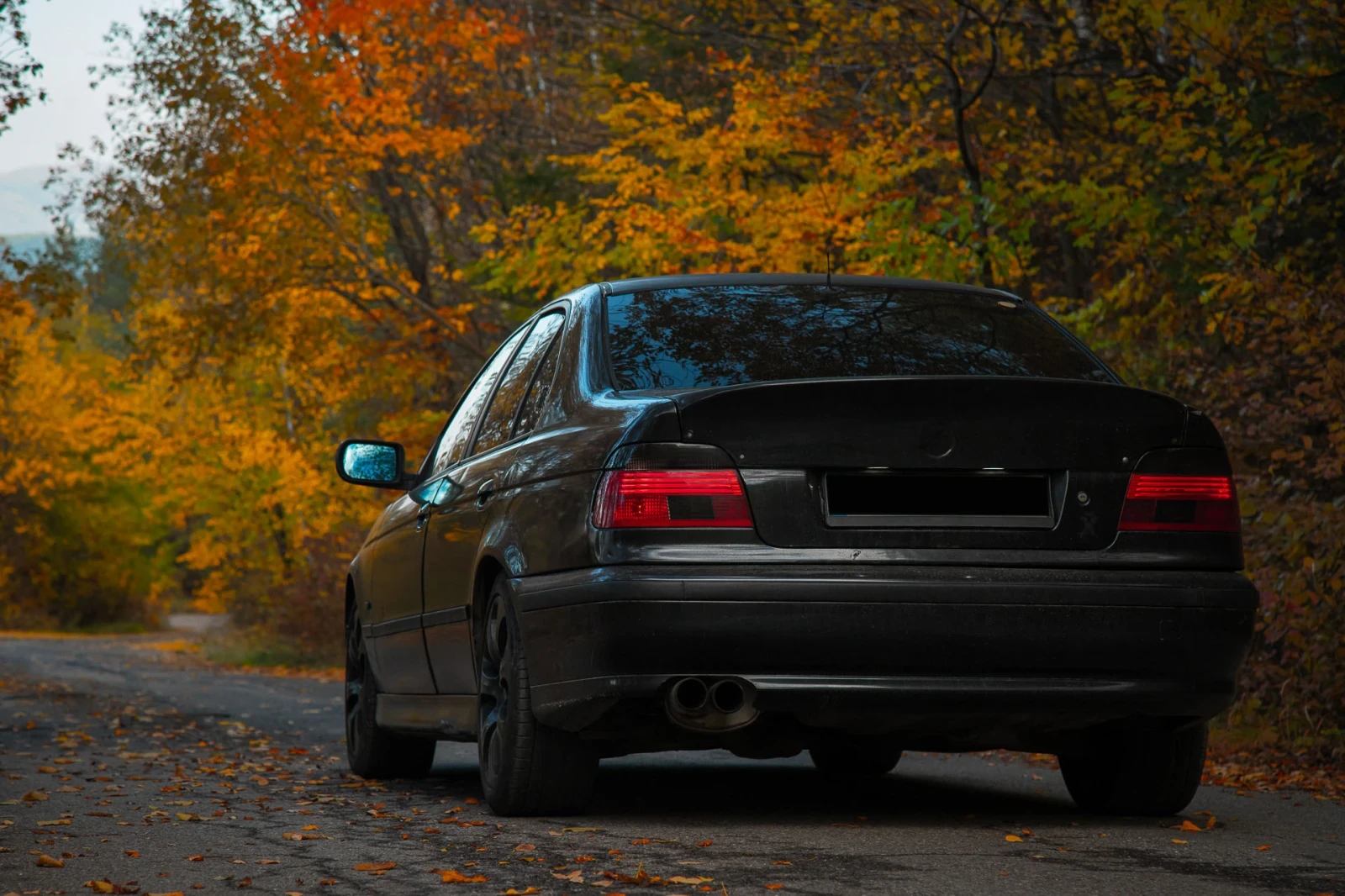 BMW 528 | Mobile.bg � ����������� 7