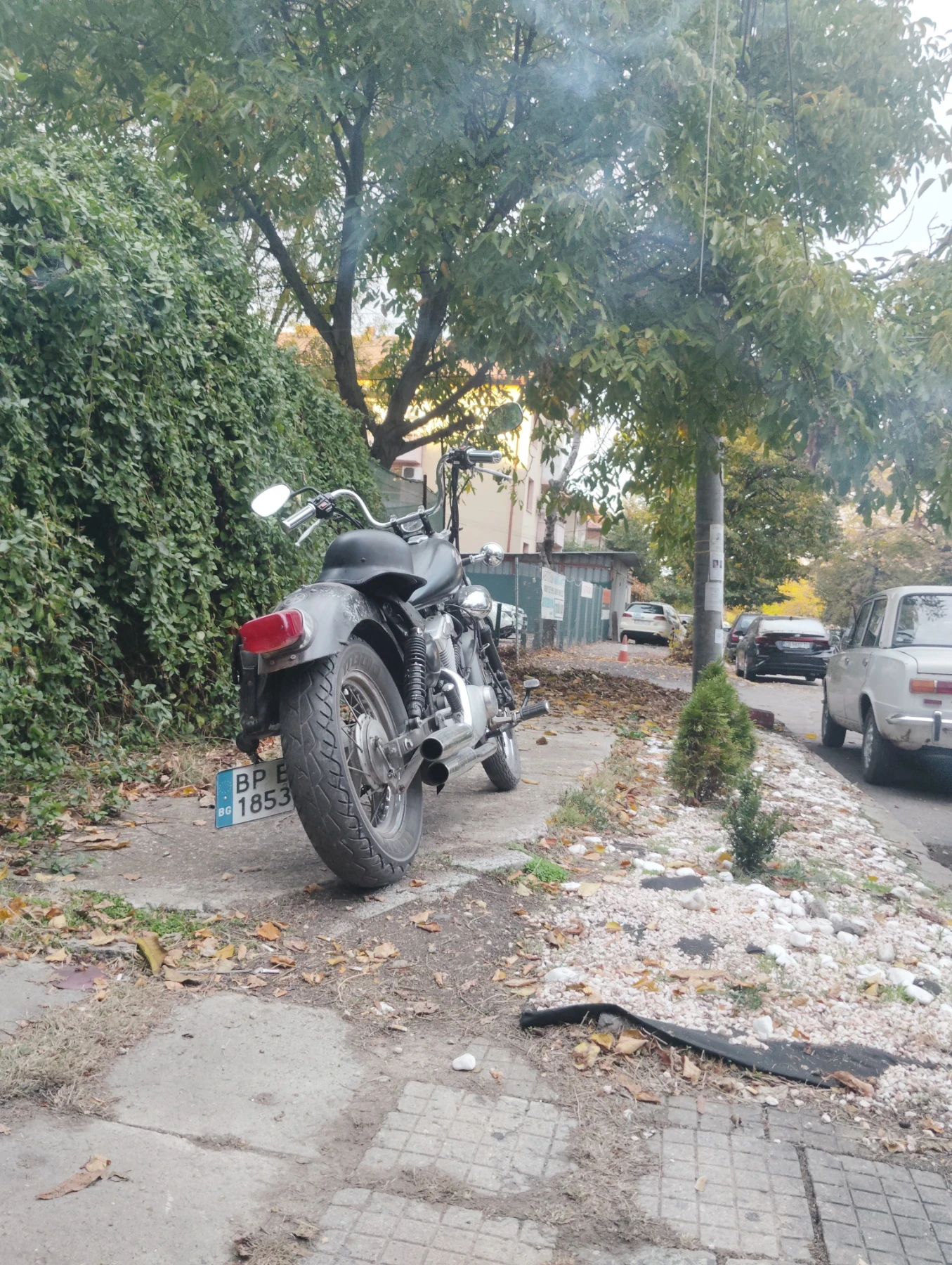 Yamaha Virago  - изображение 5