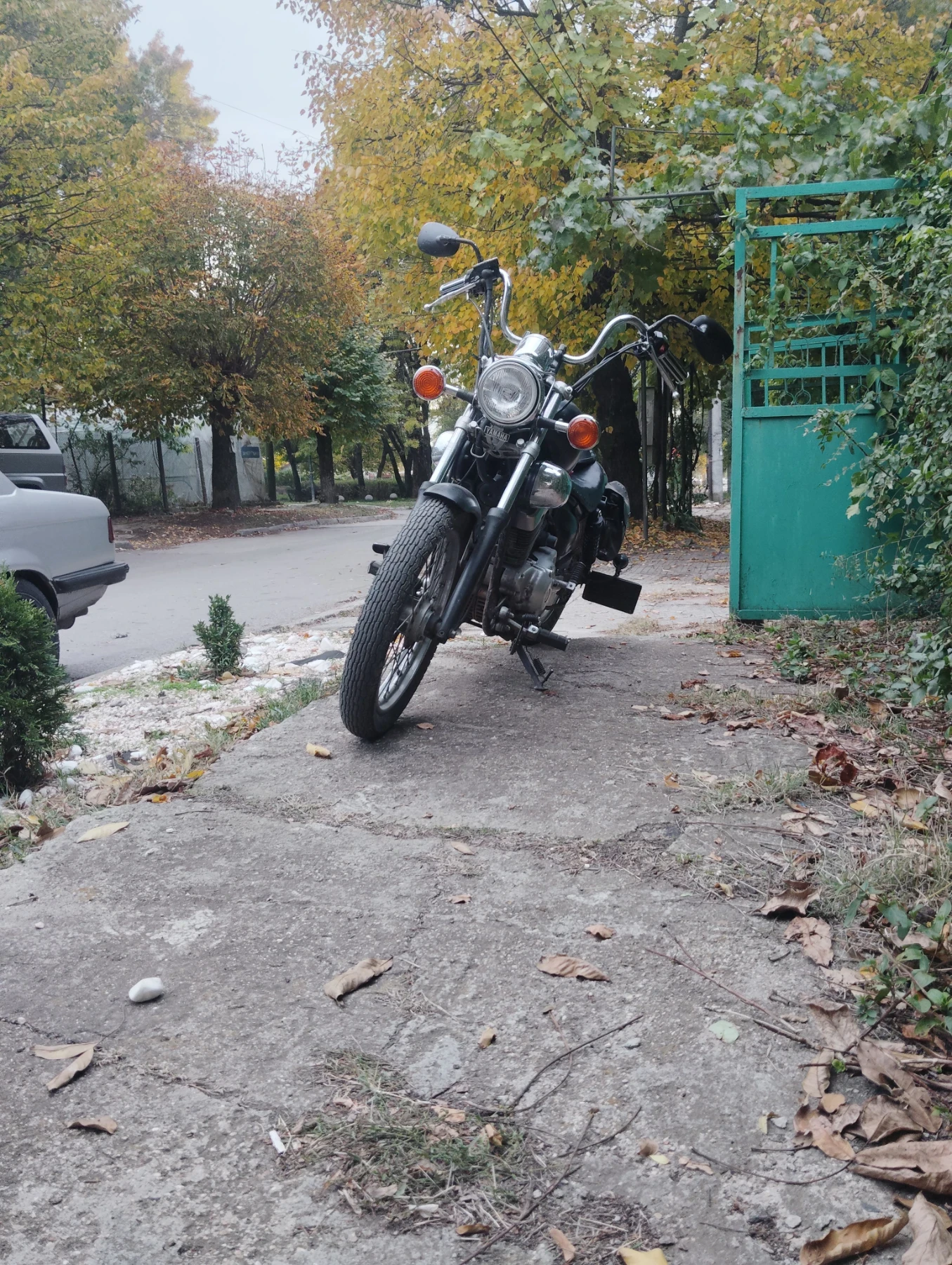 Yamaha Virago  - изображение 3