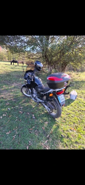 ������ Honda Xlv