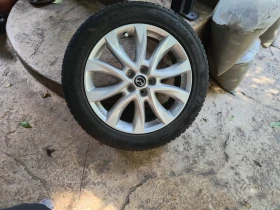 ������ ������ ���� �����